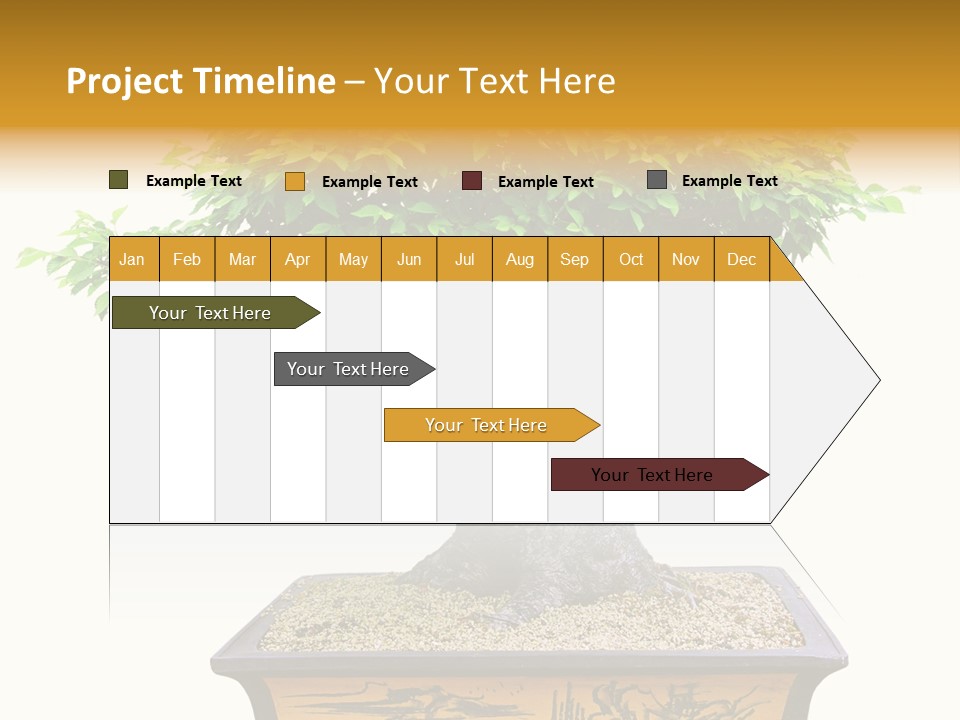 Plant Ficus Small PowerPoint Template