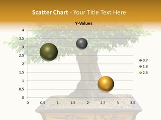 Plant Ficus Small PowerPoint Template