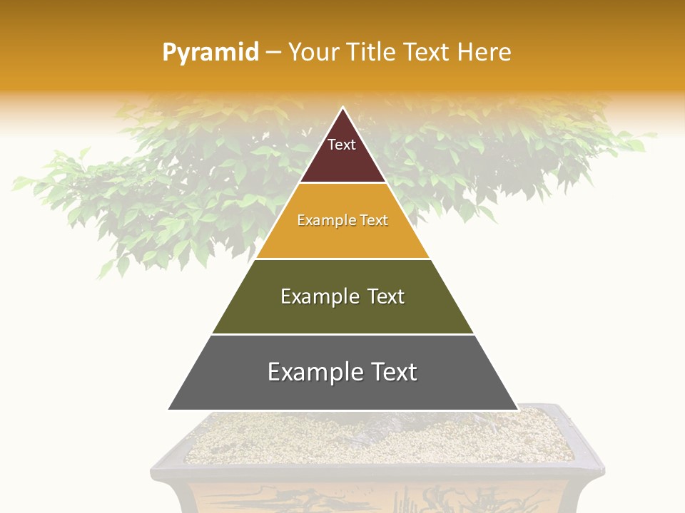 Plant Ficus Small PowerPoint Template