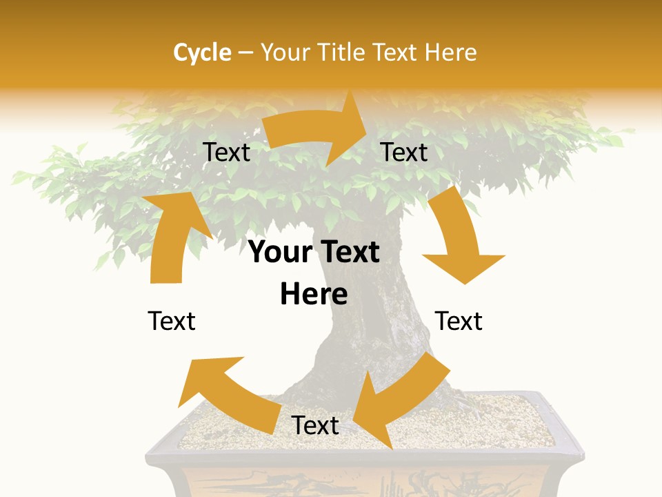 Plant Ficus Small PowerPoint Template