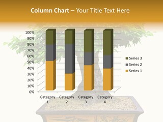 Plant Ficus Small PowerPoint Template