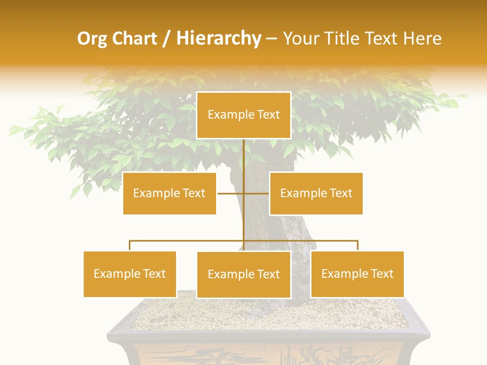 Plant Ficus Small PowerPoint Template