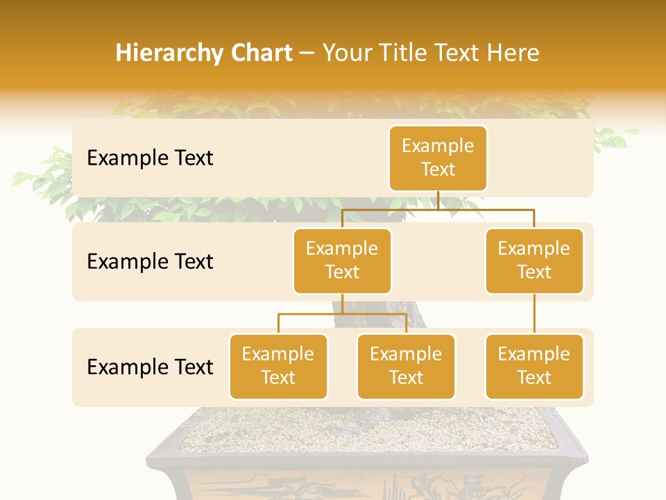 Plant Ficus Small PowerPoint Template