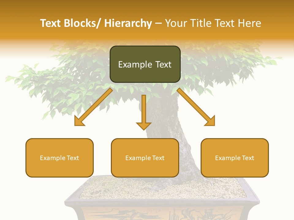 Plant Ficus Small PowerPoint Template