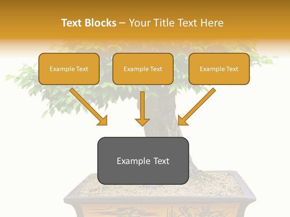 Plant Ficus Small PowerPoint Template