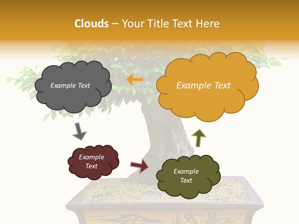 Plant Ficus Small PowerPoint Template