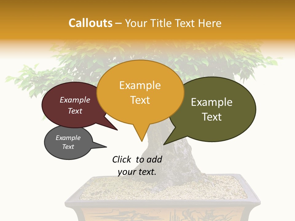 Plant Ficus Small PowerPoint Template