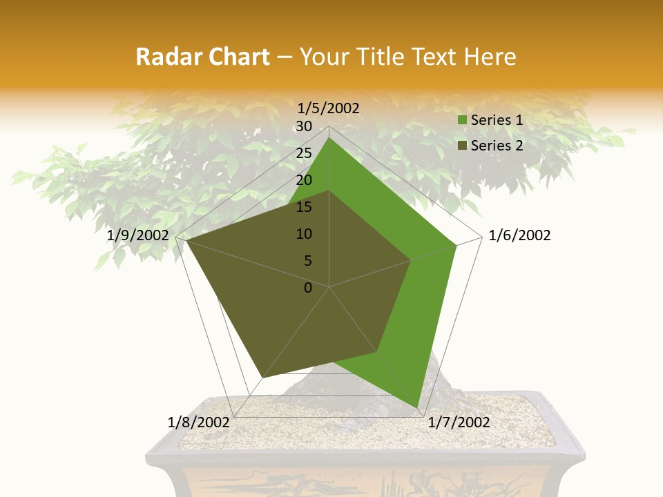 Plant Ficus Small PowerPoint Template