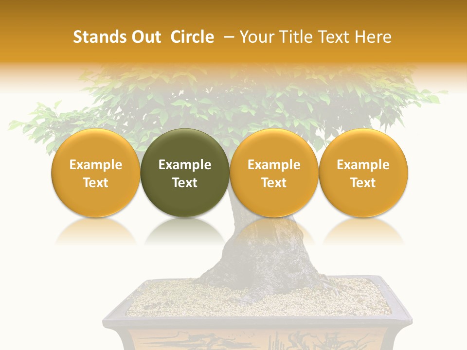 Plant Ficus Small PowerPoint Template