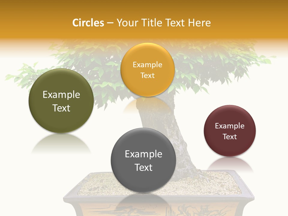 Plant Ficus Small PowerPoint Template