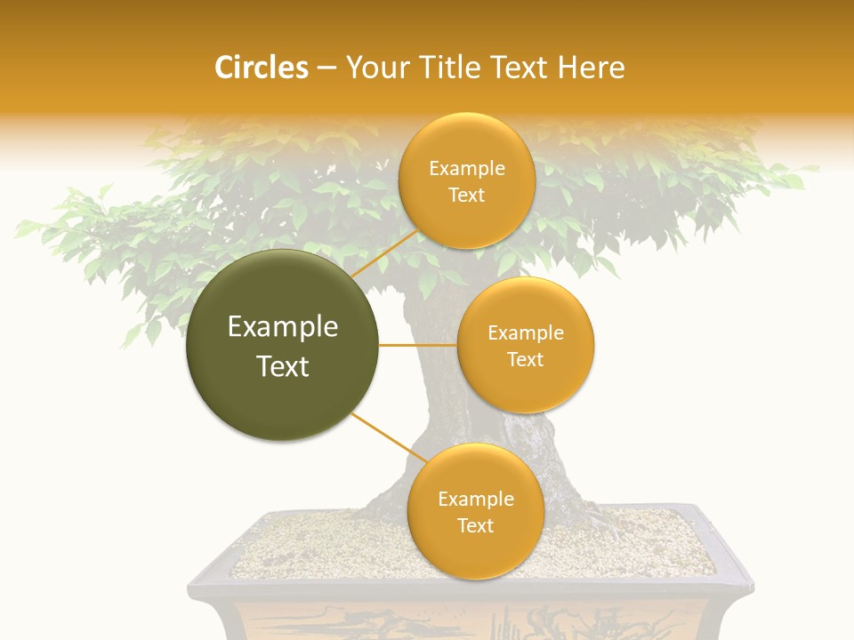 Plant Ficus Small PowerPoint Template