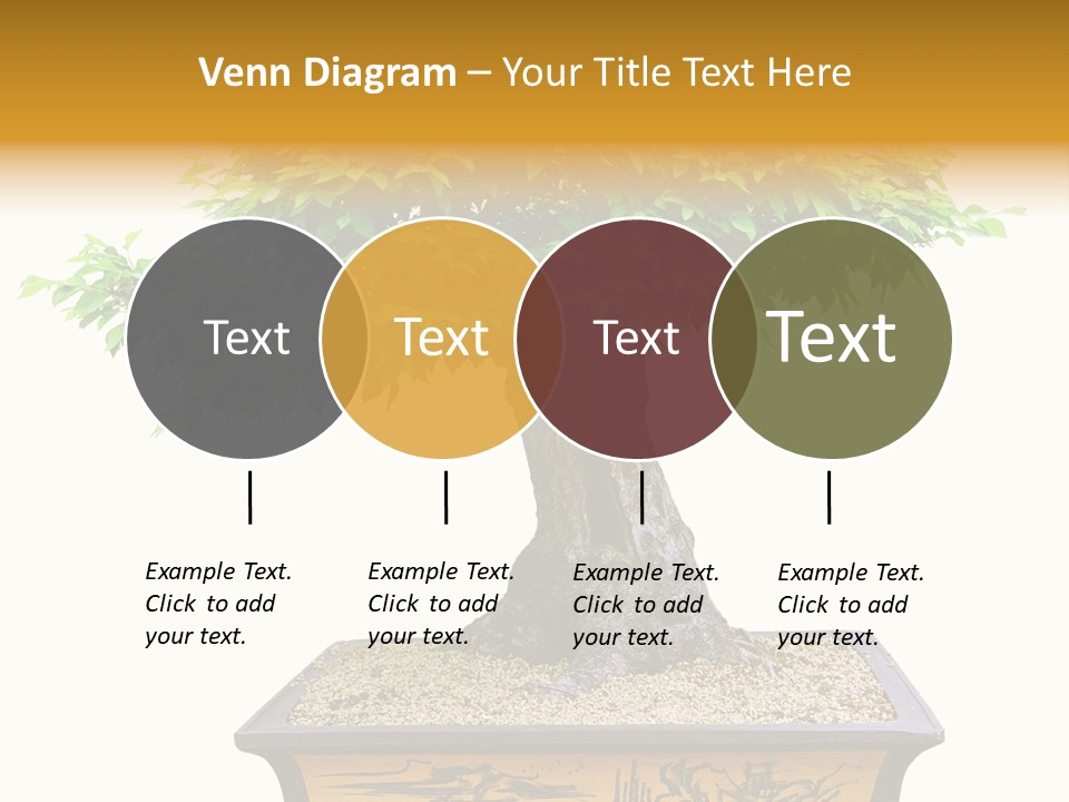 Plant Ficus Small PowerPoint Template