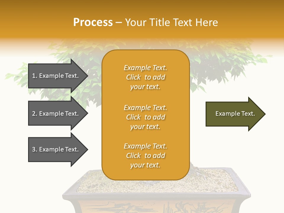 Plant Ficus Small PowerPoint Template
