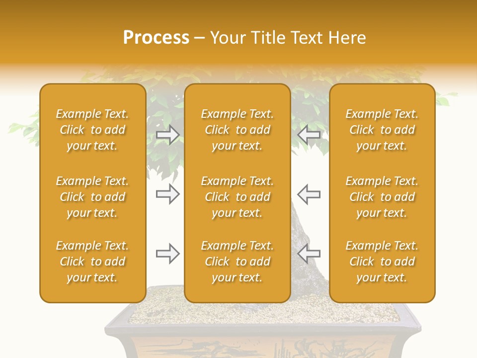 Plant Ficus Small PowerPoint Template