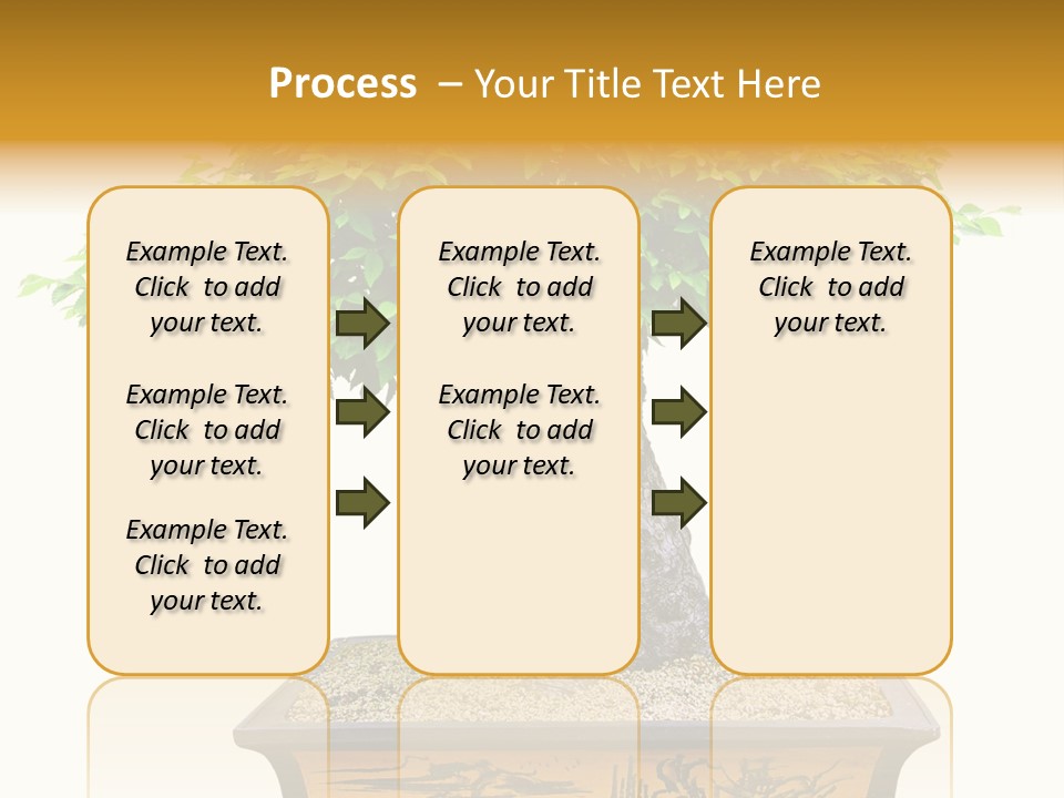 Plant Ficus Small PowerPoint Template