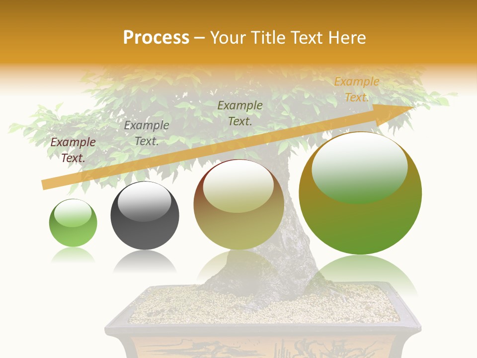 Plant Ficus Small PowerPoint Template