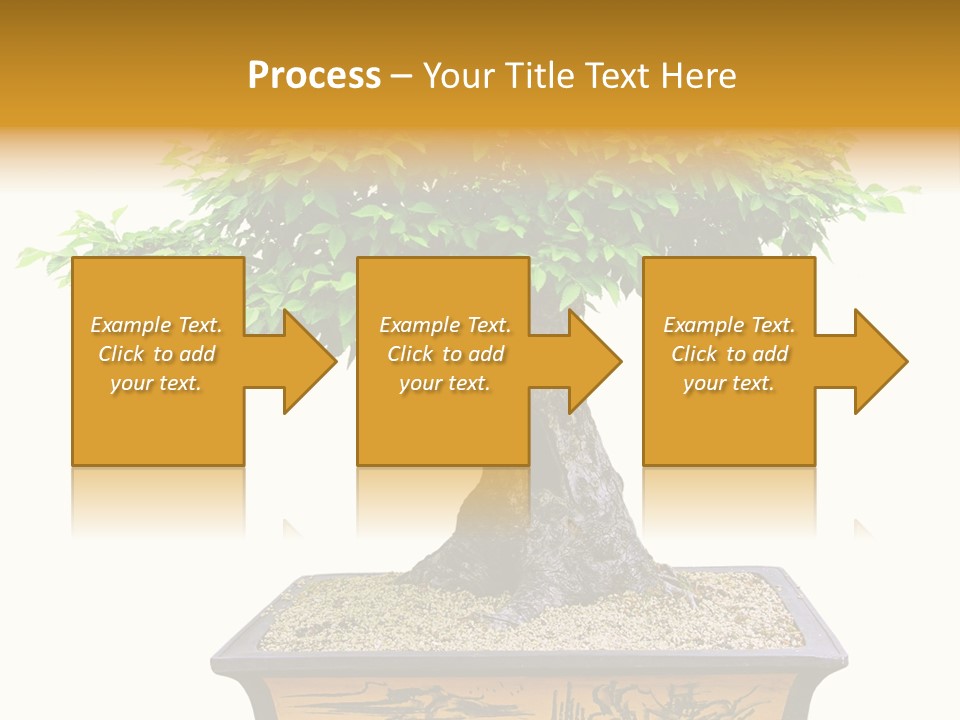 Plant Ficus Small PowerPoint Template