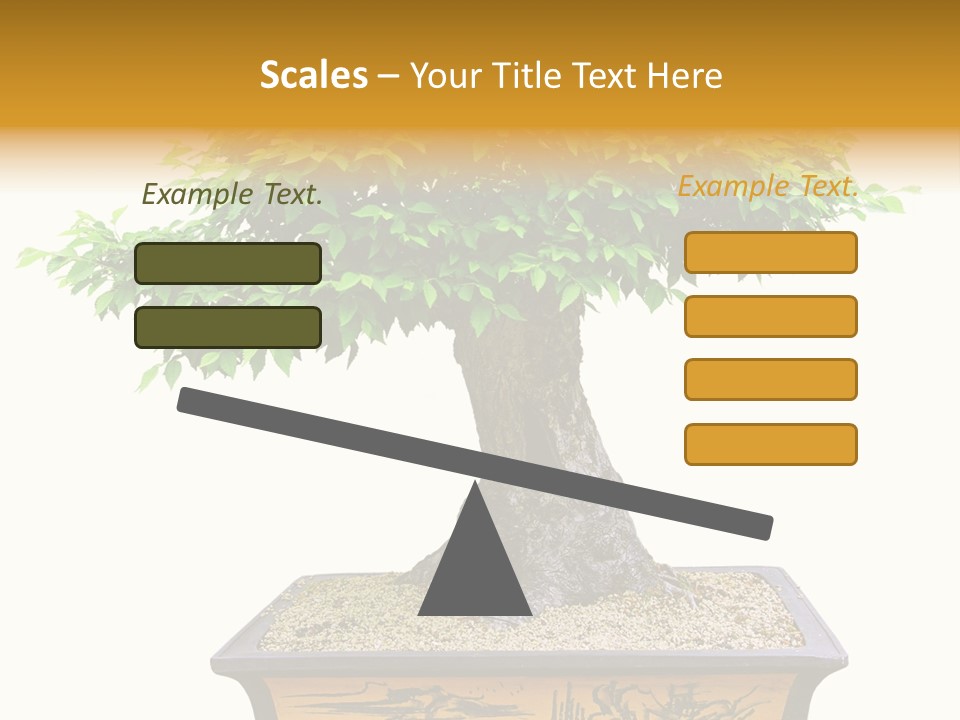 Plant Ficus Small PowerPoint Template