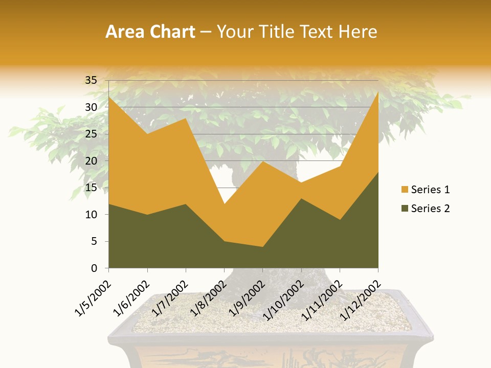 Plant Ficus Small PowerPoint Template