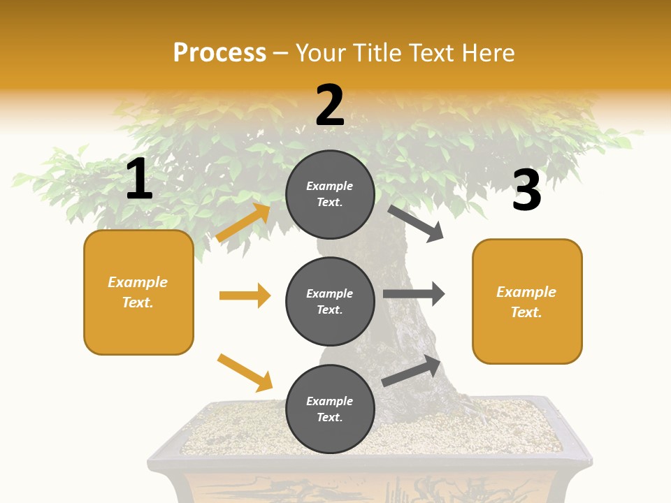 Plant Ficus Small PowerPoint Template