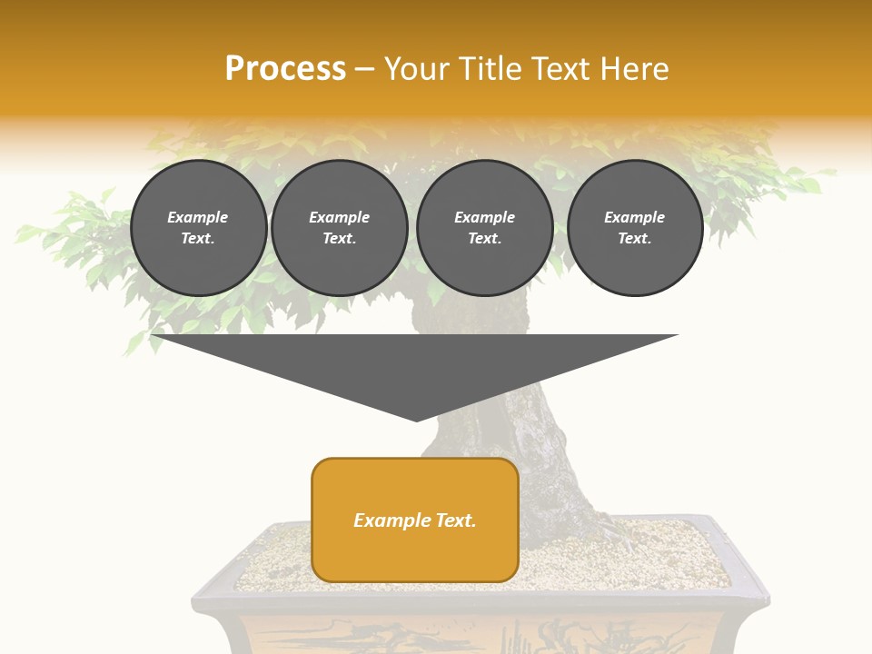 Plant Ficus Small PowerPoint Template
