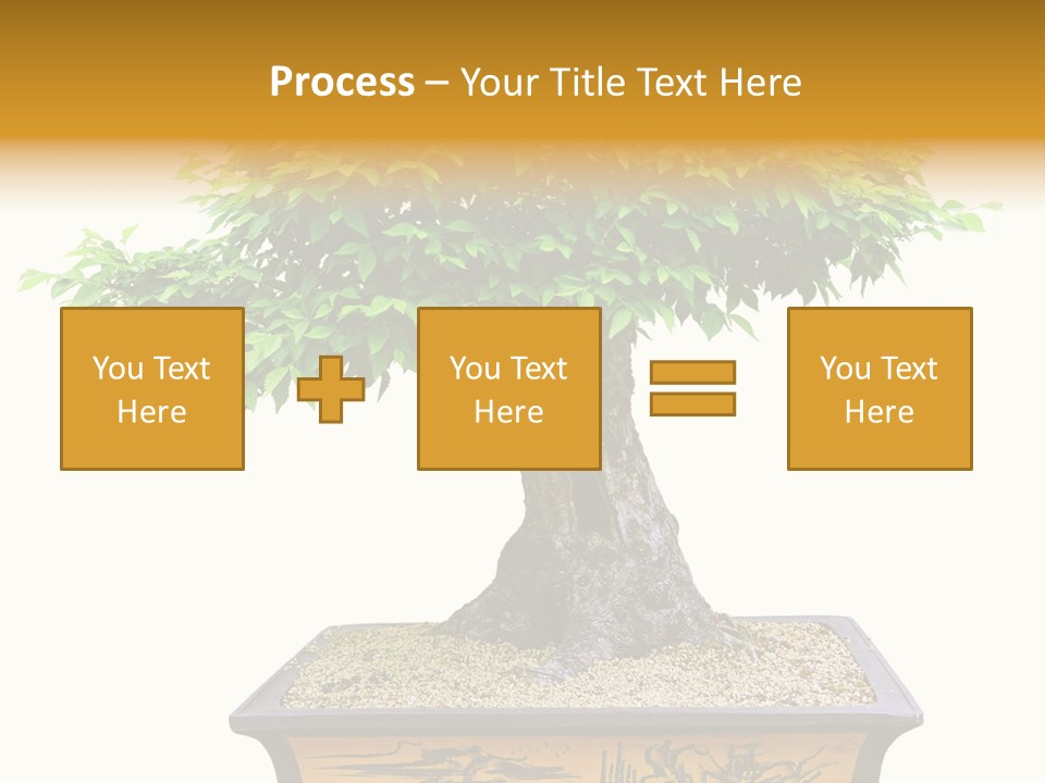 Plant Ficus Small PowerPoint Template