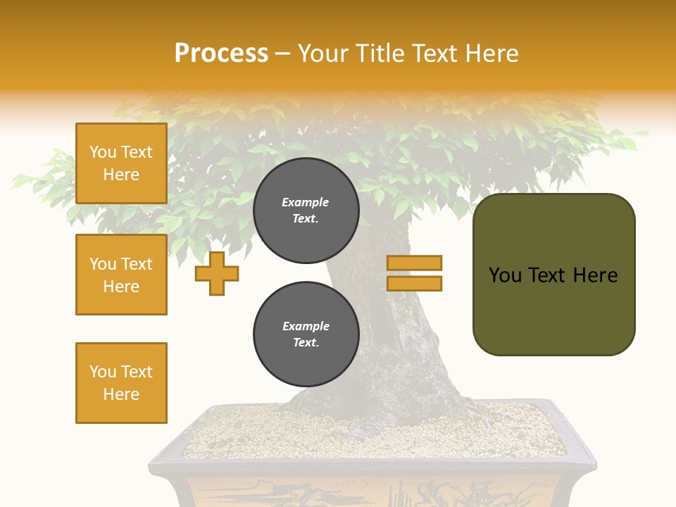 Plant Ficus Small PowerPoint Template