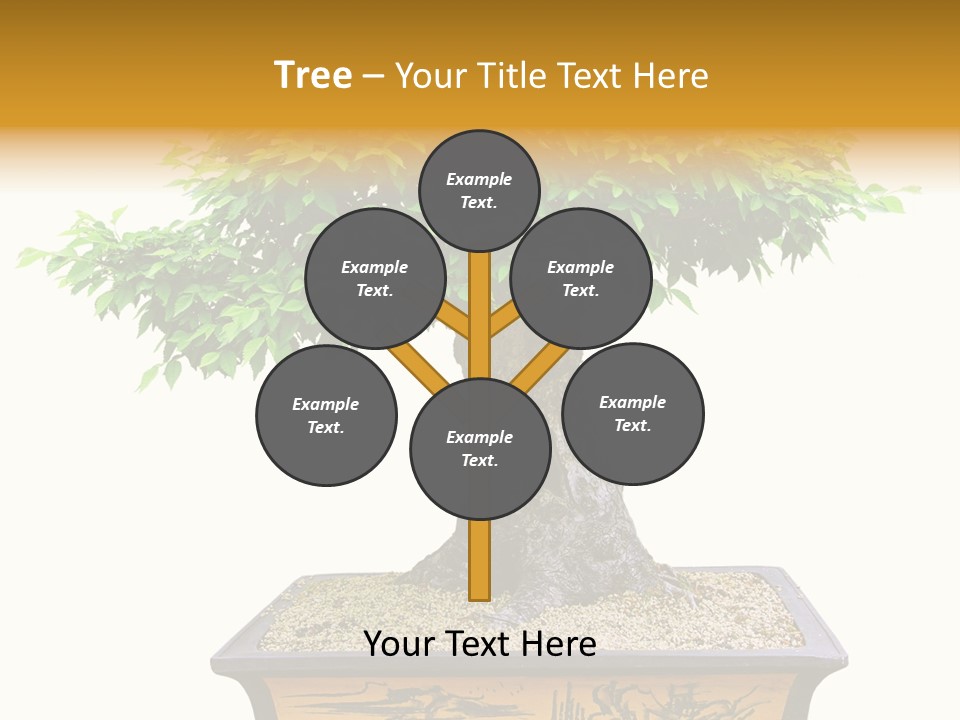Plant Ficus Small PowerPoint Template