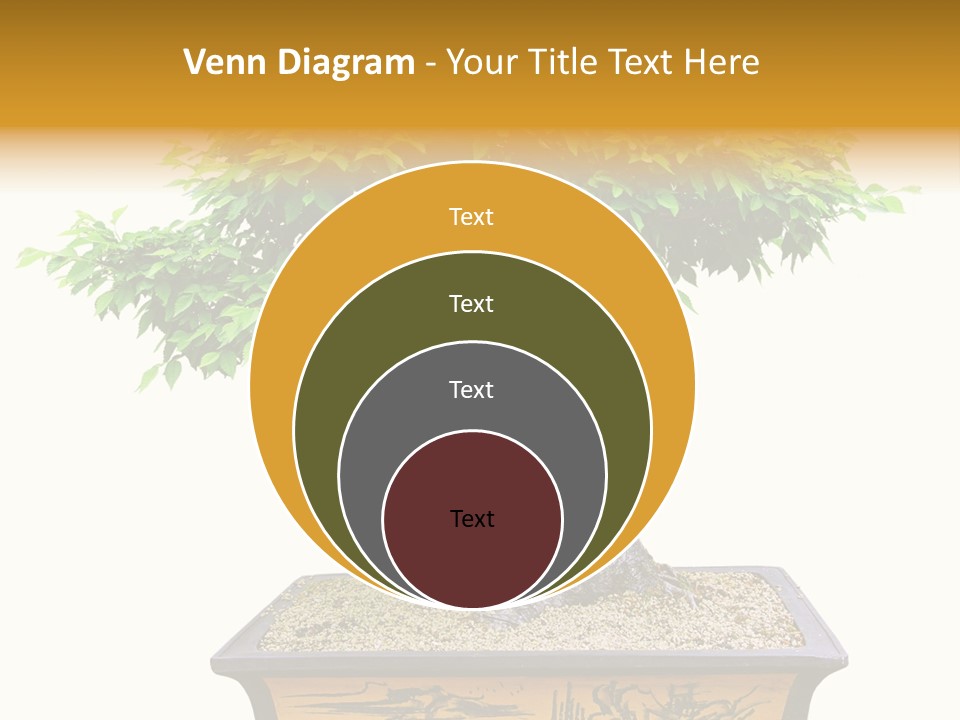 Plant Ficus Small PowerPoint Template