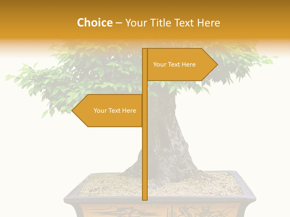 Plant Ficus Small PowerPoint Template