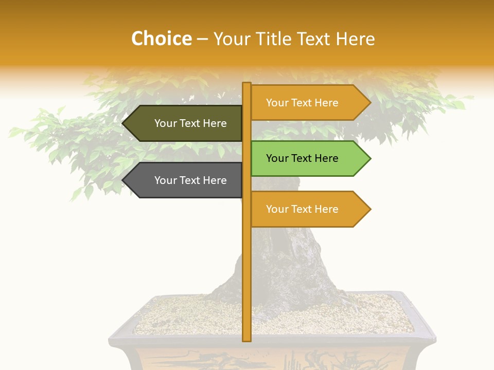 Plant Ficus Small PowerPoint Template