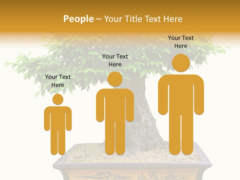 Plant Ficus Small PowerPoint Template