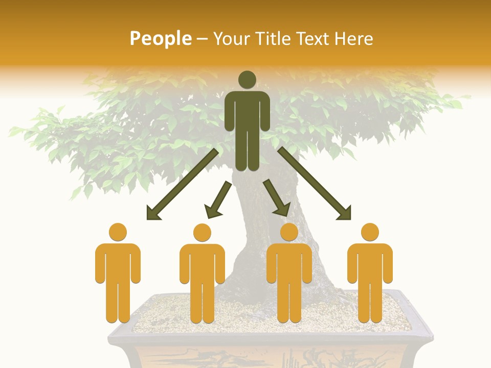 Plant Ficus Small PowerPoint Template