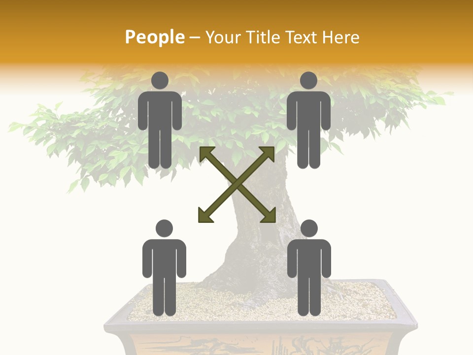 Plant Ficus Small PowerPoint Template