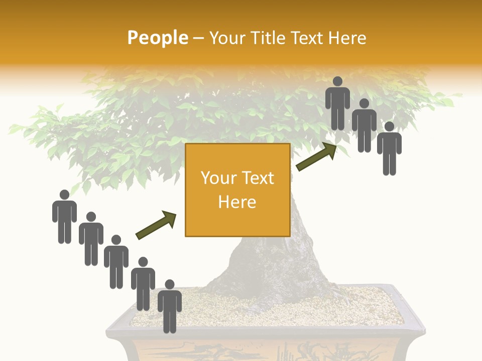 Plant Ficus Small PowerPoint Template