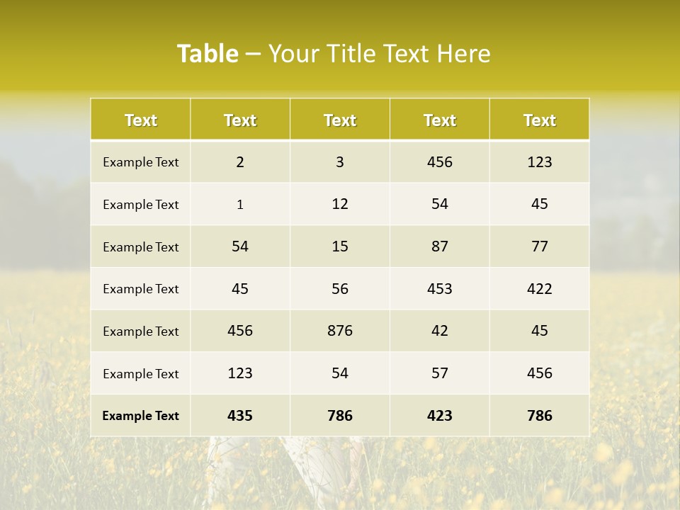 Stardom  Lifestyle PowerPoint Template
