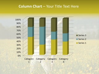 Stardom  Lifestyle PowerPoint Template