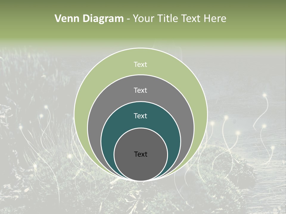 Beautiful Mystic Freedom PowerPoint Template