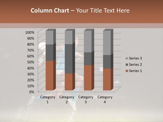 Person One  PowerPoint Template