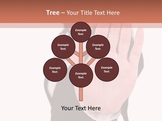 Stopping Attractive Formal PowerPoint Template
