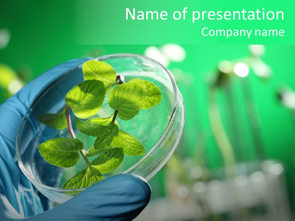 Plant Examine Lab PowerPoint Template