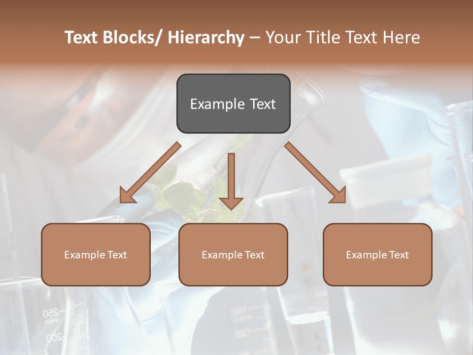 Science Agronomy Holding PowerPoint Template