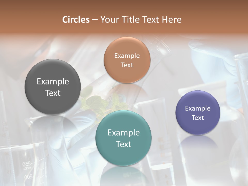 Science Agronomy Holding PowerPoint Template