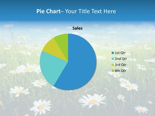 Entreprise Immeuble Plan PowerPoint Template