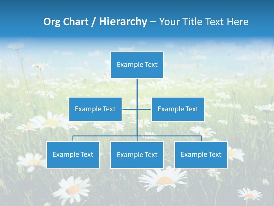 Entreprise Immeuble Plan PowerPoint Template
