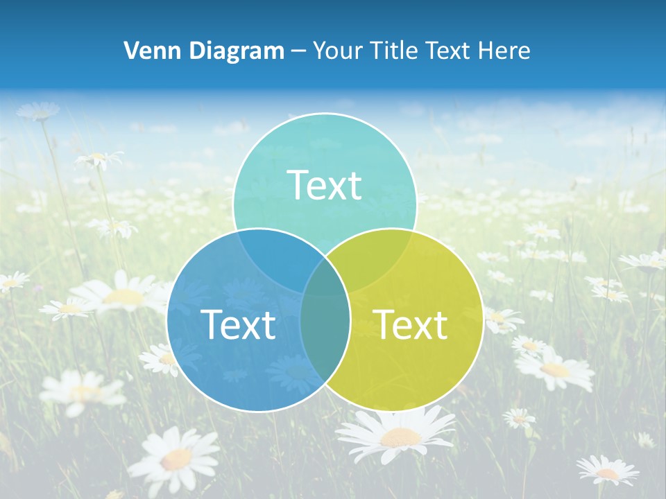 Entreprise Immeuble Plan PowerPoint Template