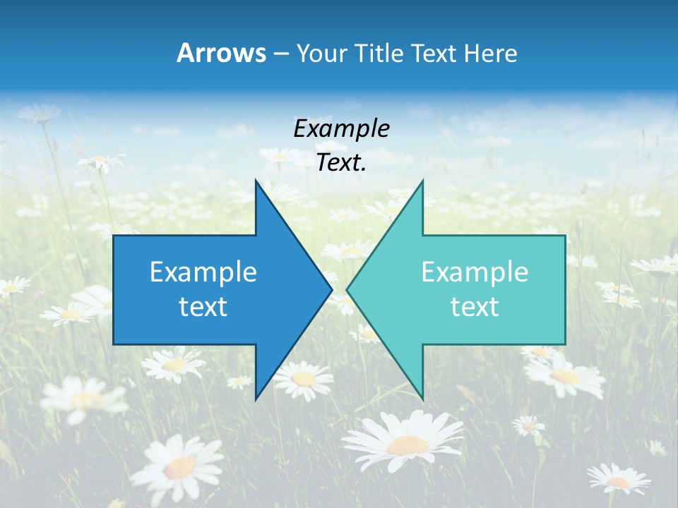 Entreprise Immeuble Plan PowerPoint Template
