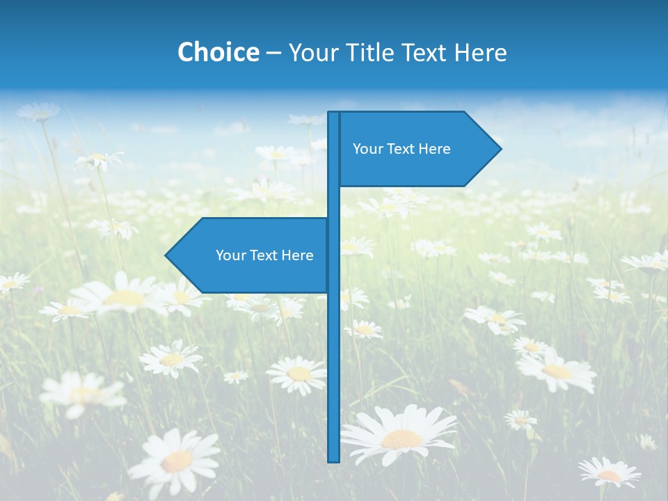 Entreprise Immeuble Plan PowerPoint Template