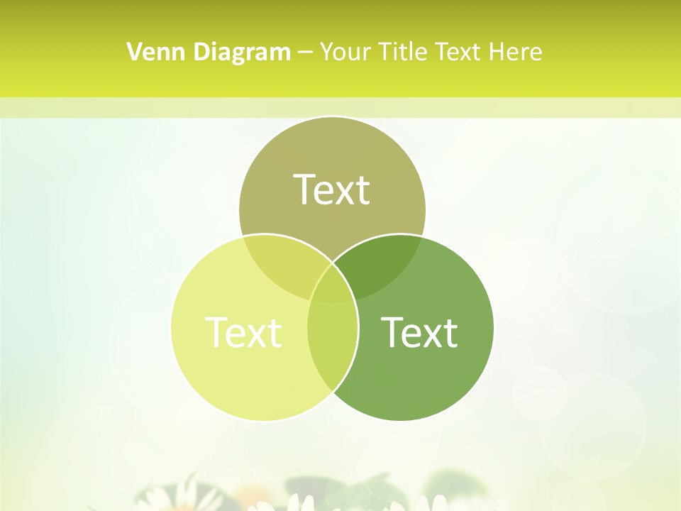 Fashion Care Happiness PowerPoint Template