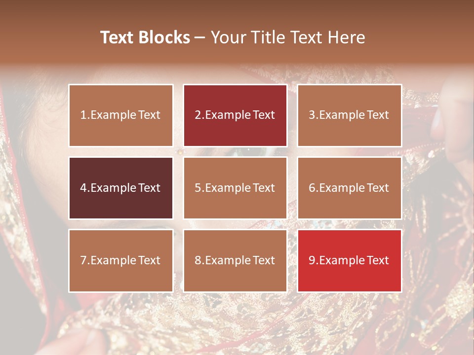 India Princess Vintage PowerPoint Template